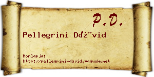 Pellegrini Dávid névjegykártya
